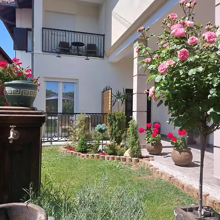 Radulovic Apartment Vrnjacka Banja