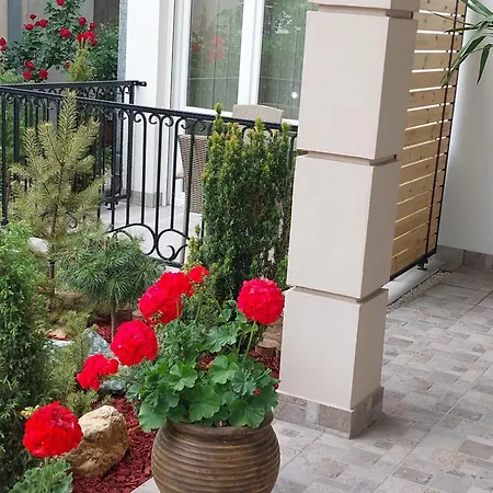 Radulovic Apartment *