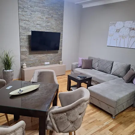 Radulovic Apartment Vrnjacka Banja