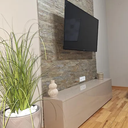 Apartment Radulovic Vrnjacka Banja