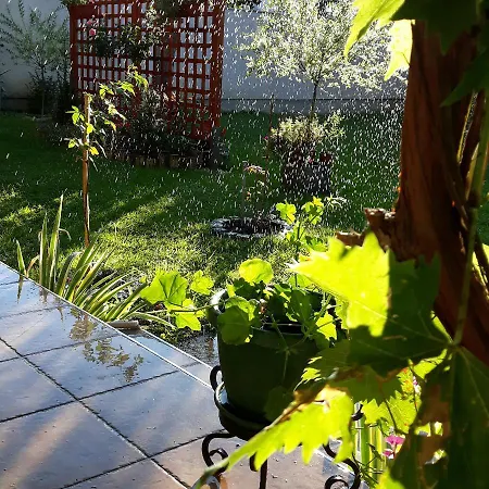 Apartmán Radulovic Vrnjačka Banja