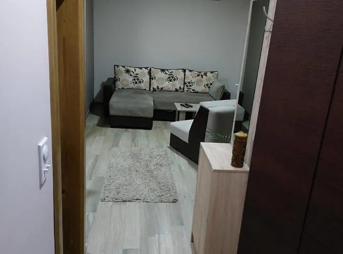 Radulovic Apartman Vrnjačka Banja