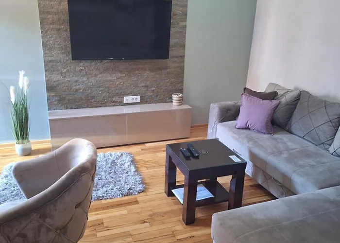 Radulovic Apartman Vrnjačka Banja