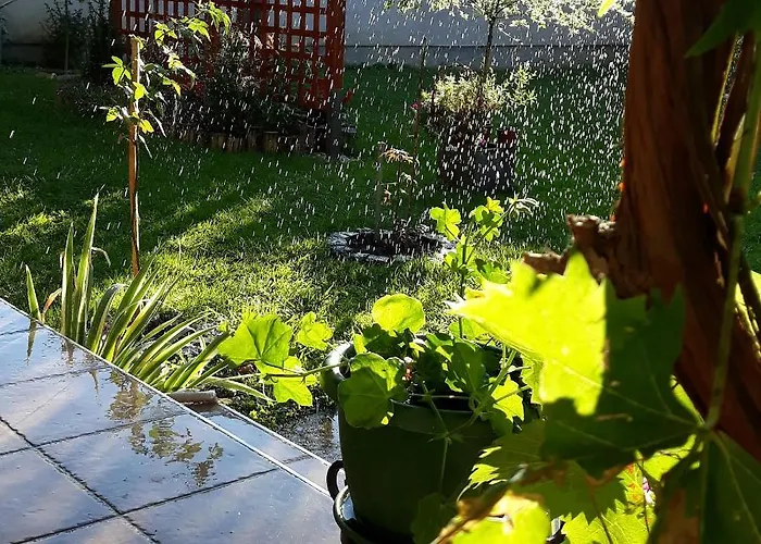 Apartman Radulovic Vrnjačka Banja